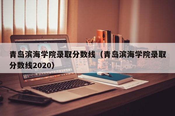 青岛滨海学院录取分数线（青岛滨海学院录取分数线2020）