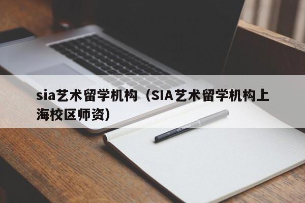 sia艺术留学机构（SIA艺术留学机构上海校区师资）